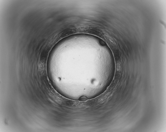 X0000093361011200710251126