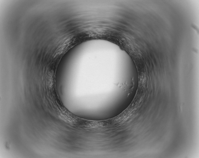 X0000093361012200710251126