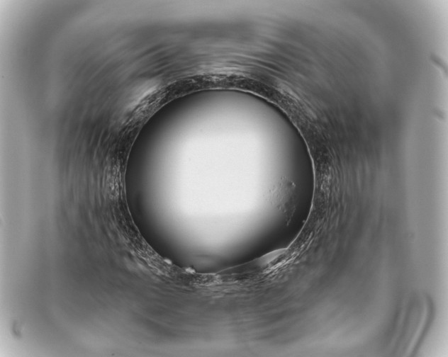 X0000093361014200710251126