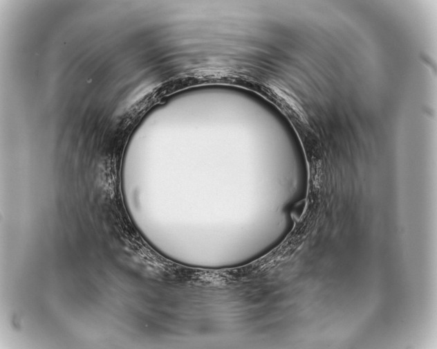 X0000093361015200710251126
