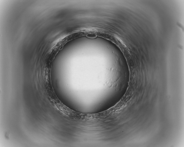 X0000093361016200710251126