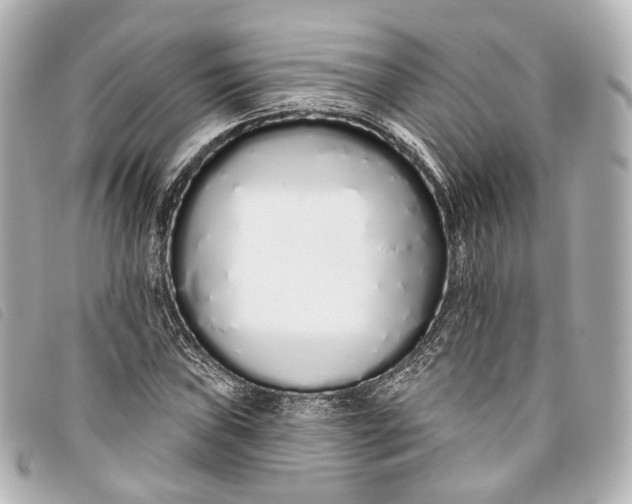 X0000093361019200710251126