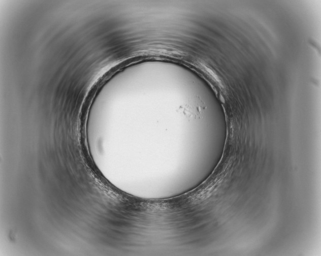 X0000093361020200710251126