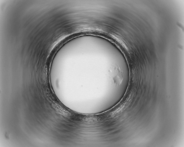 X0000093361021200710251126