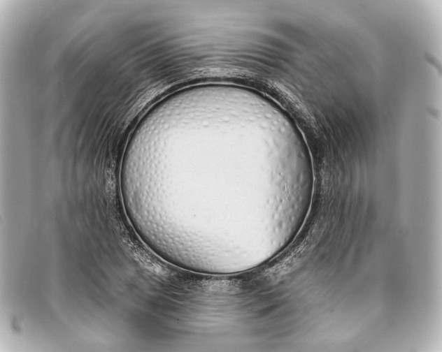 X0000093361025200710251126