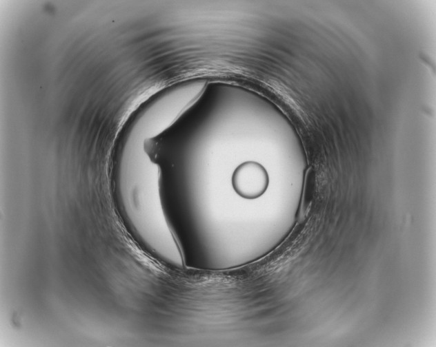 X0000093361026200710251126