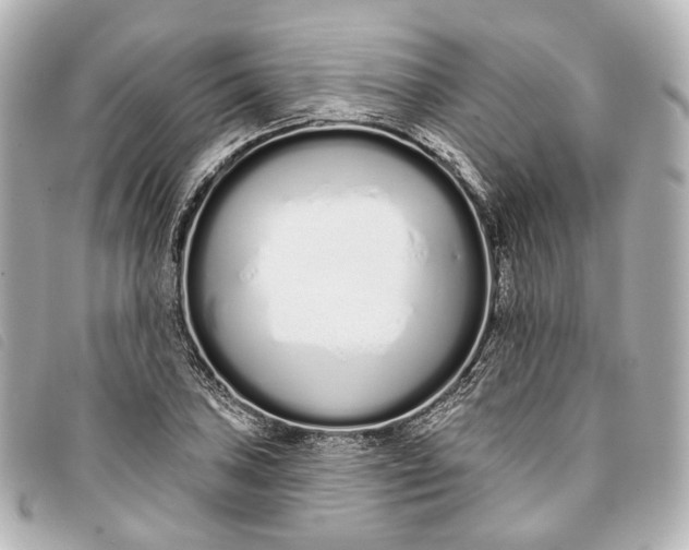X0000093361027200710251126