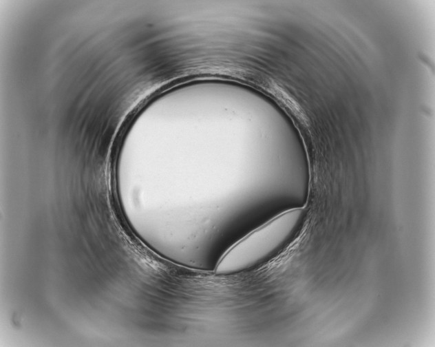 X0000093361028200710251126