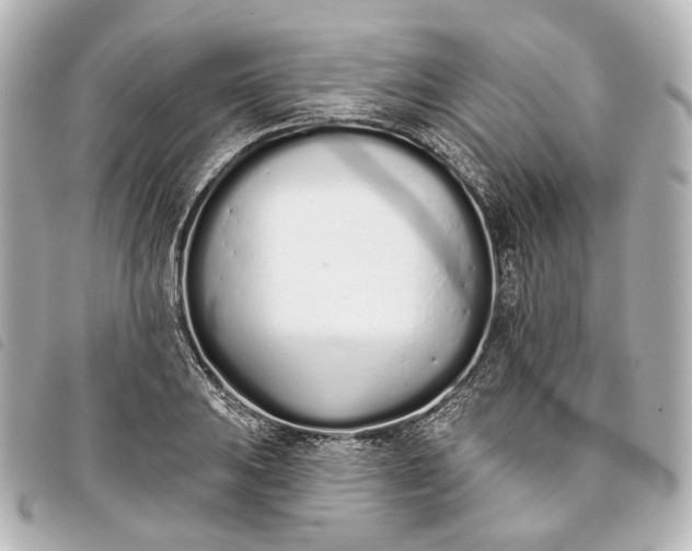 X0000093361031200710251126