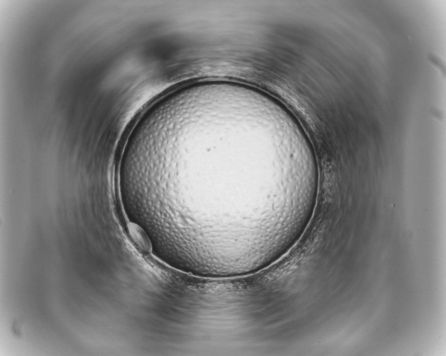 X0000093361032200710251126