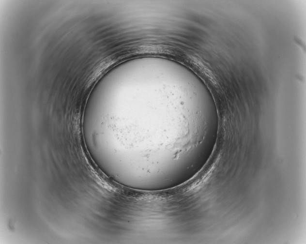 X0000093361033200710251126