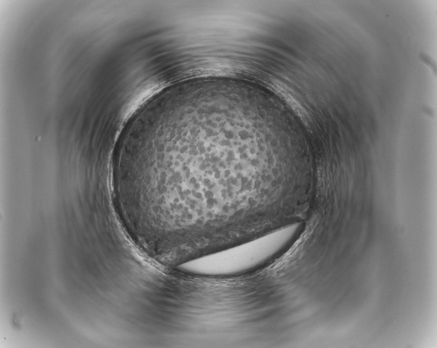 X0000093361034200710251126