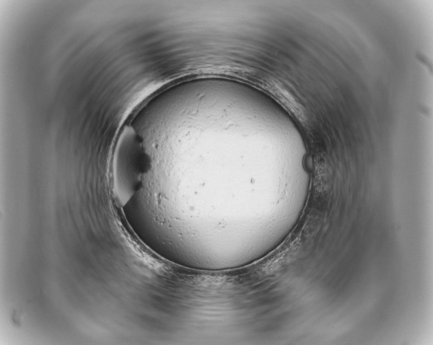 X0000093361036200710251126
