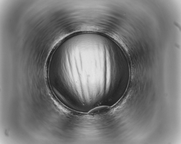 X0000093361037200710251126