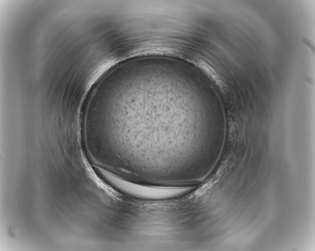 X0000093361038200710251126