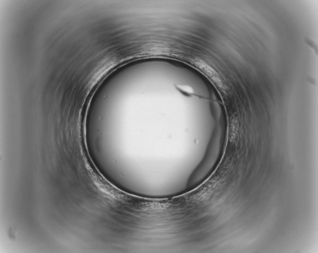X0000093361039200710251127