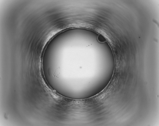 X0000093361040200710251127
