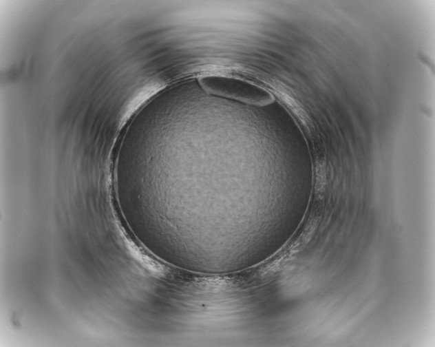 X0000093361042200710251127