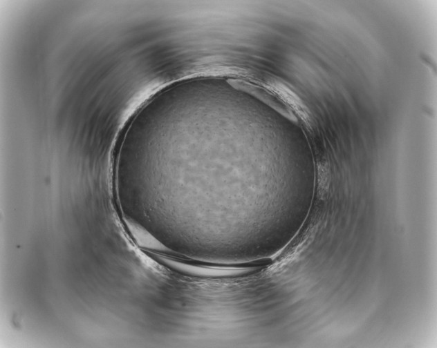 X0000093361046200710251127