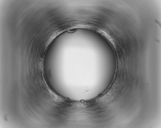 X0000093361049200710251127