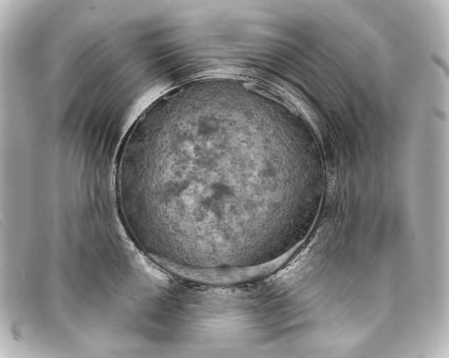 X0000093361050200710251127