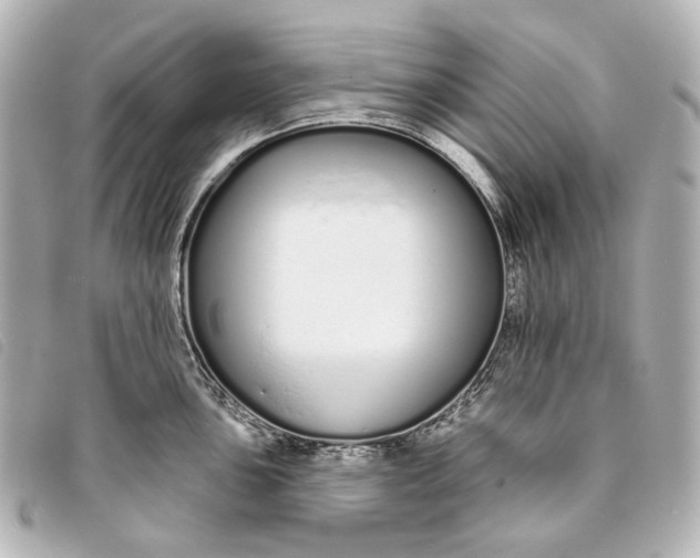 X0000093361051200710251127