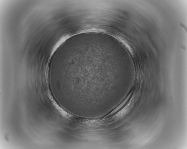 X0000093361054200710251127