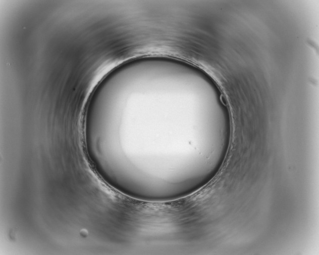 X0000093361056200710251127