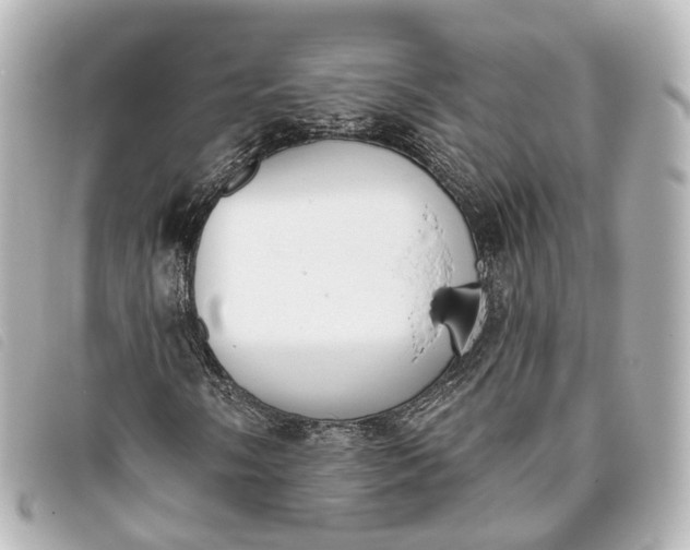 X0000093361058200710251126