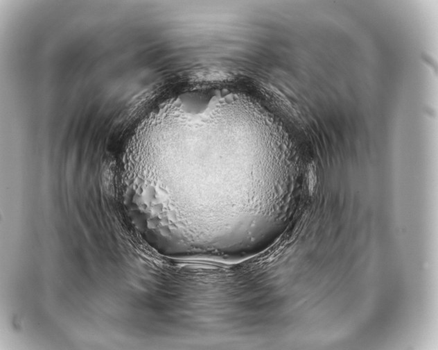 X0000093361059200710251126