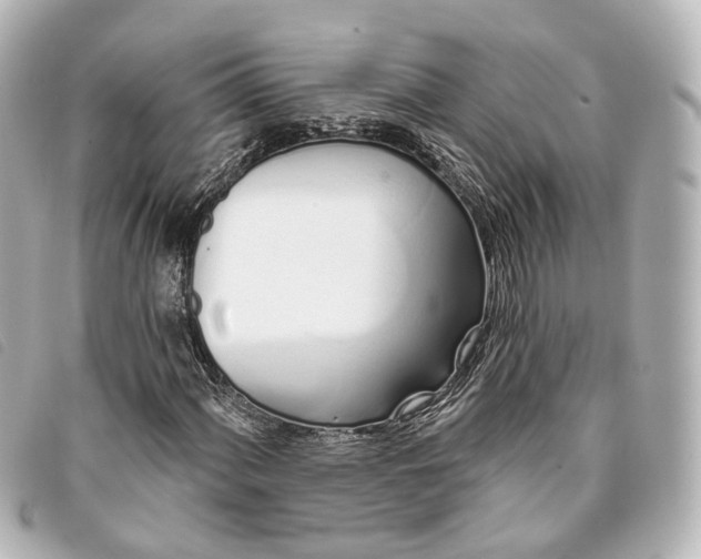 X0000093361060200710251126