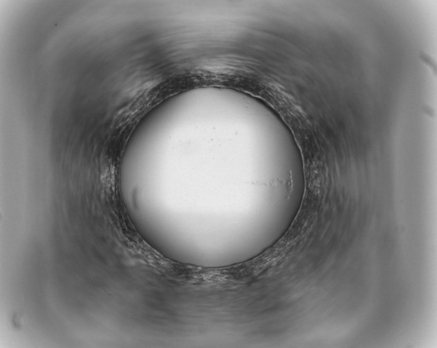 X0000093361061200710251126