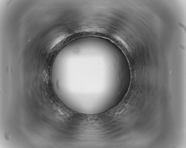 X0000093361064200710251126