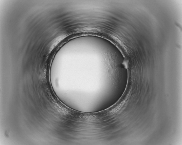 X0000093361066200710251126