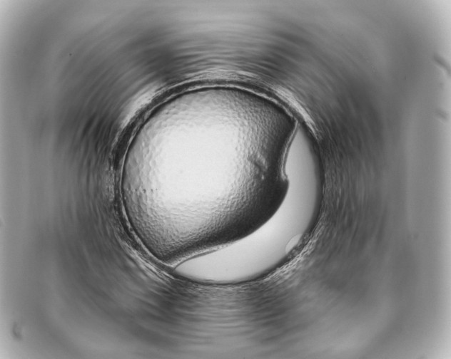 X0000093361067200710251126