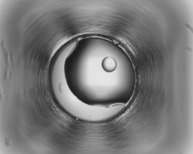X0000093361069200710251126