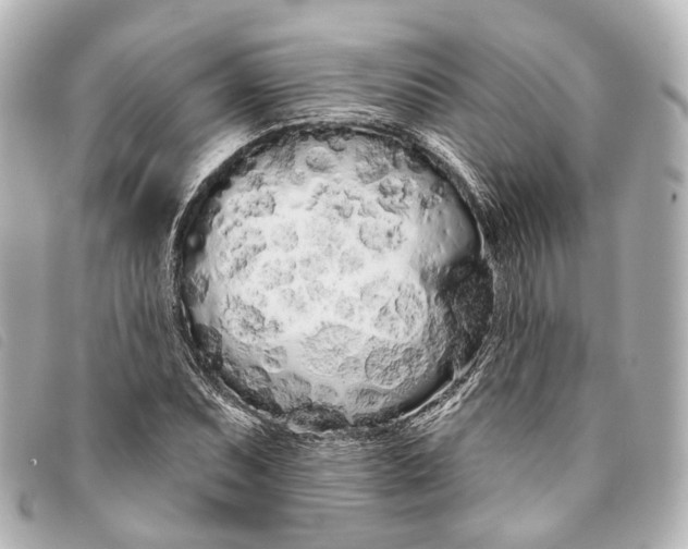 X0000093361071200710251126