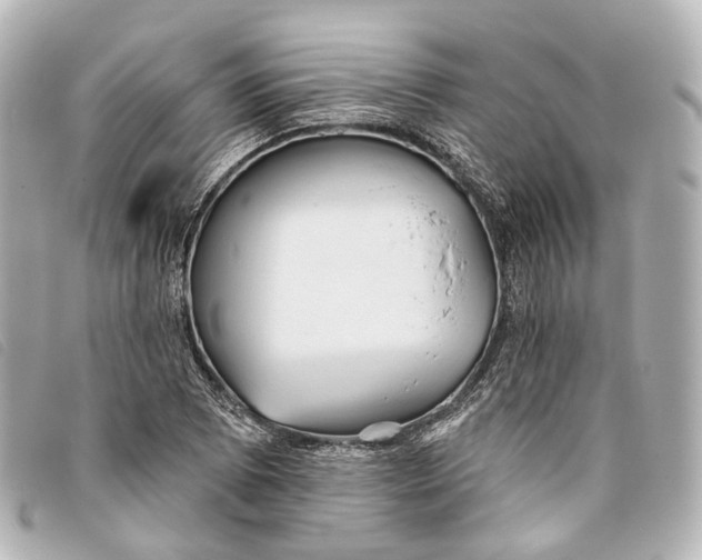 X0000093361073200710251126