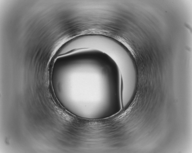 X0000093361075200710251126