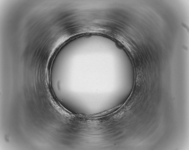 X0000093361080200710251126