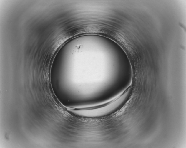 X0000093361081200710251126
