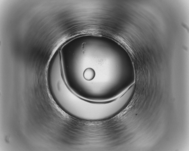 X0000093361083200710251126