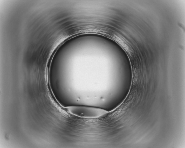 X0000093361084200710251126