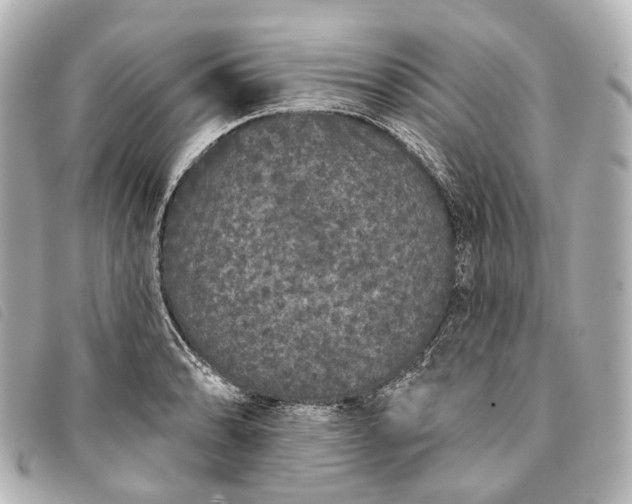 X0000093361086200710251126