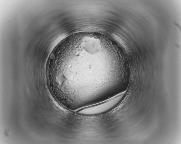 X0000093361087200710251126