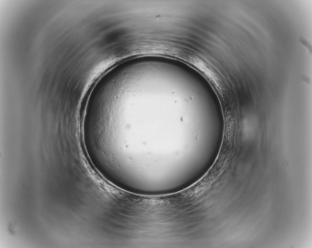 X0000093361088200710251125
