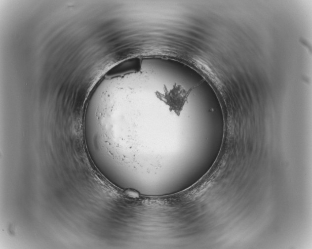 X0000093361089200710251125