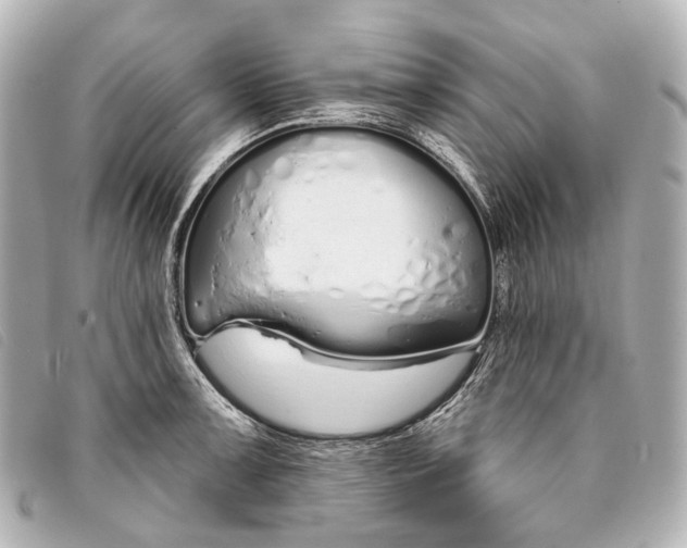 X0000093361091200710251125