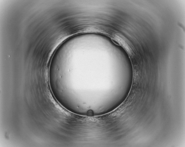X0000093361092200710251125