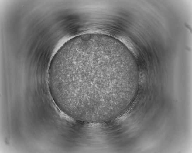 X0000093361094200710251125